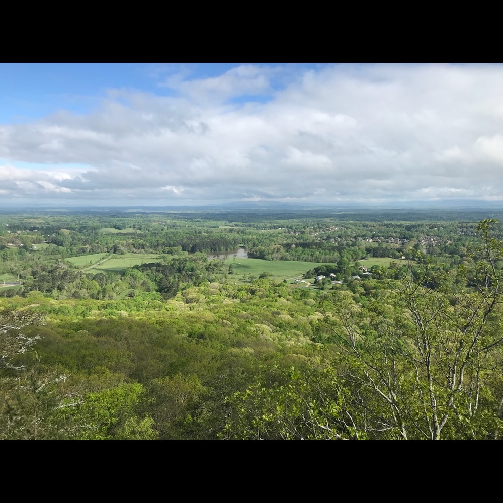 Meet your Posher, Shannon